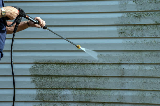 Best Spring Cleaning  in Black River Falls, WI